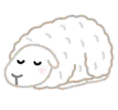 羊と心筋細胞の研究